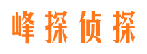 咸安市侦探调查公司